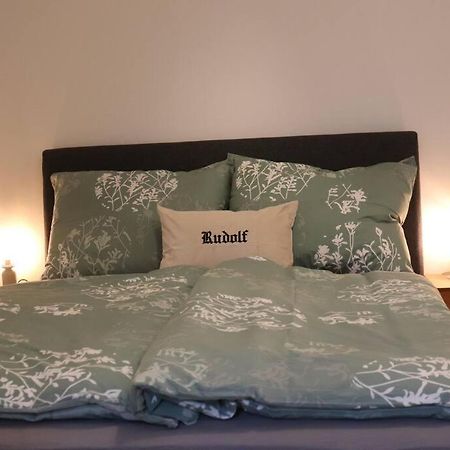 City Apartment Rudolf 26M2 Graz Zewnętrze zdjęcie