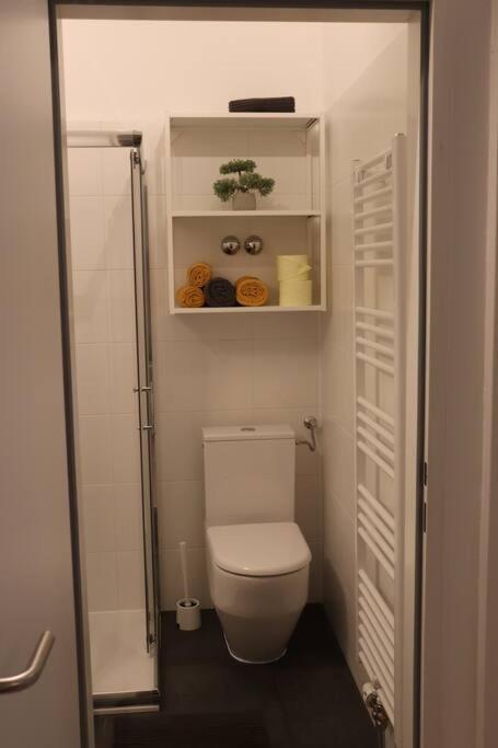 City Apartment Rudolf 26M2 Graz Zewnętrze zdjęcie