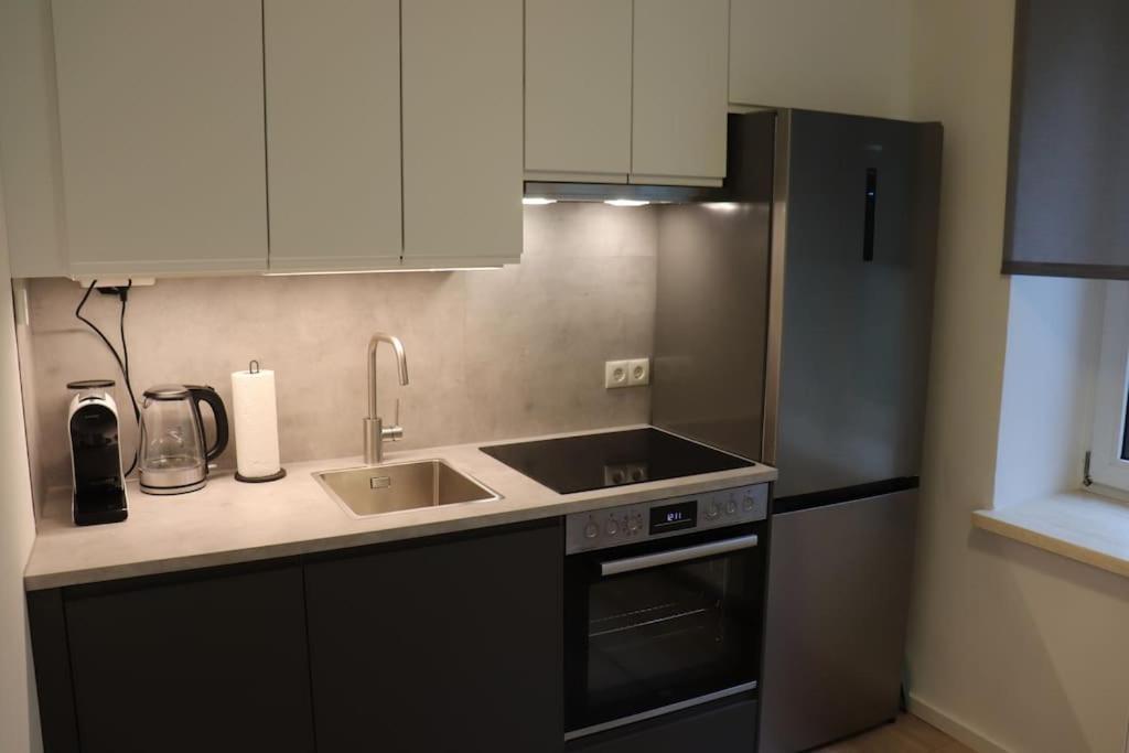 City Apartment Rudolf 26M2 Graz Zewnętrze zdjęcie